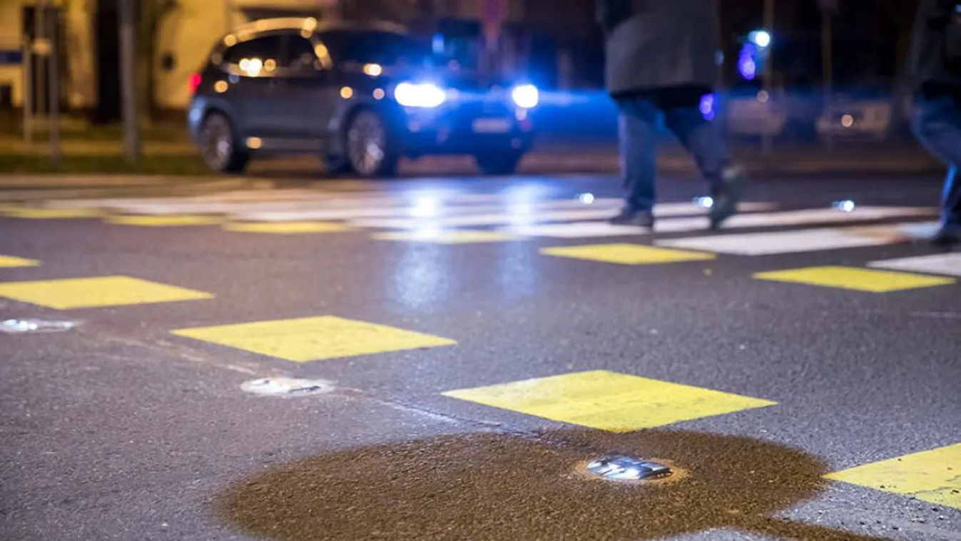 Győrben is okosak lettek a zebrák