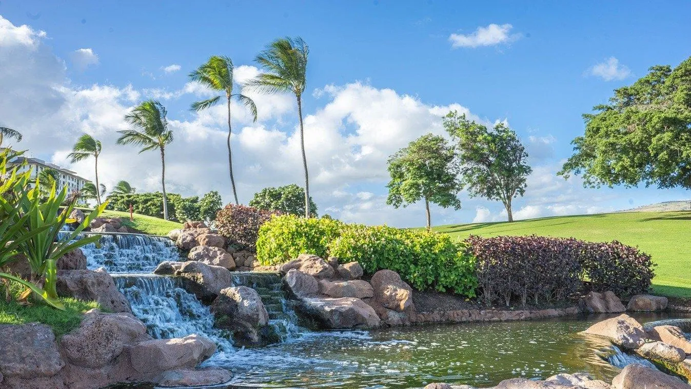 Hawaii egyik patakjában annyi alkohol folyt, hogy sörszagot árasztott