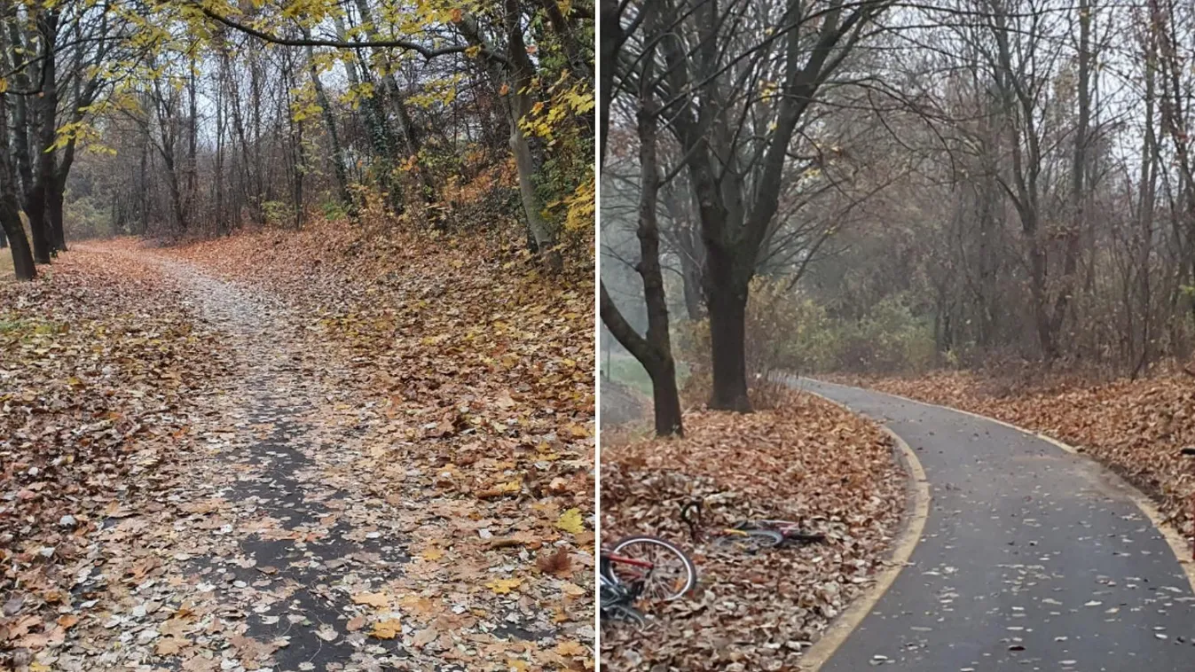 Civilek takarították le a kerékpárutat Vác és Verőce között