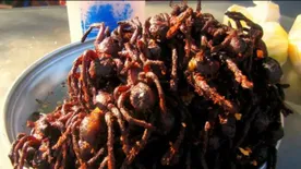 Gusztustalan ételek, amiket tuti nem mersz megkóstolni