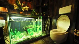 Kit érdekelnek az illemhelyek? 3,6 milliárd embert igen!