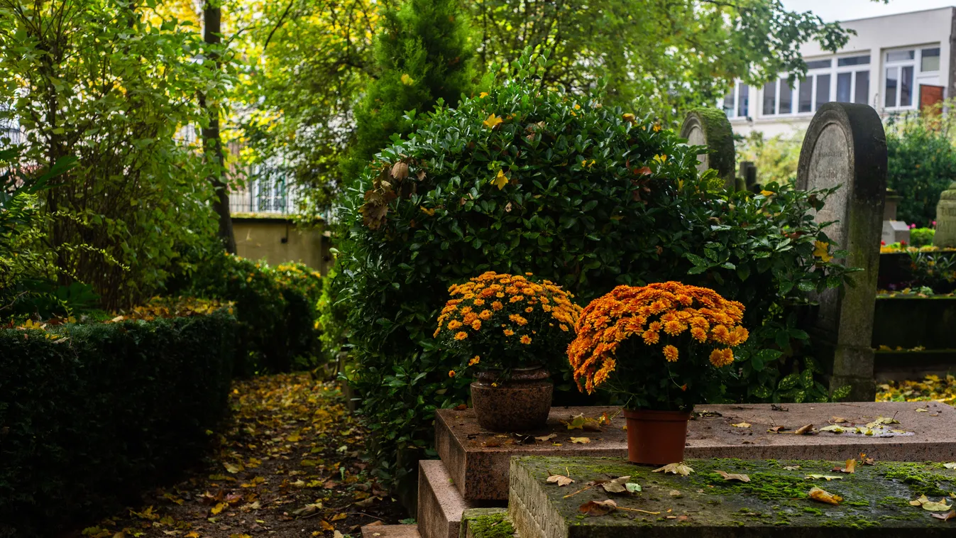 Képeken a mindenszentek a világ leghíresebb sírkertjében