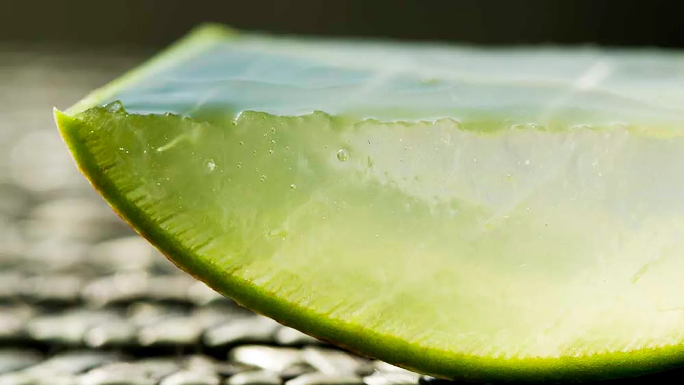 Tudta, hogy az Aloe vera hasmenést és vastagbélgyulladást is okozhat?