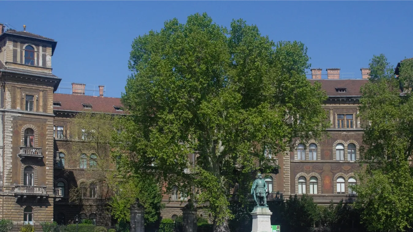 Ha jobban megismerné a főváros fáit, ezt az alkalmazást töltse le