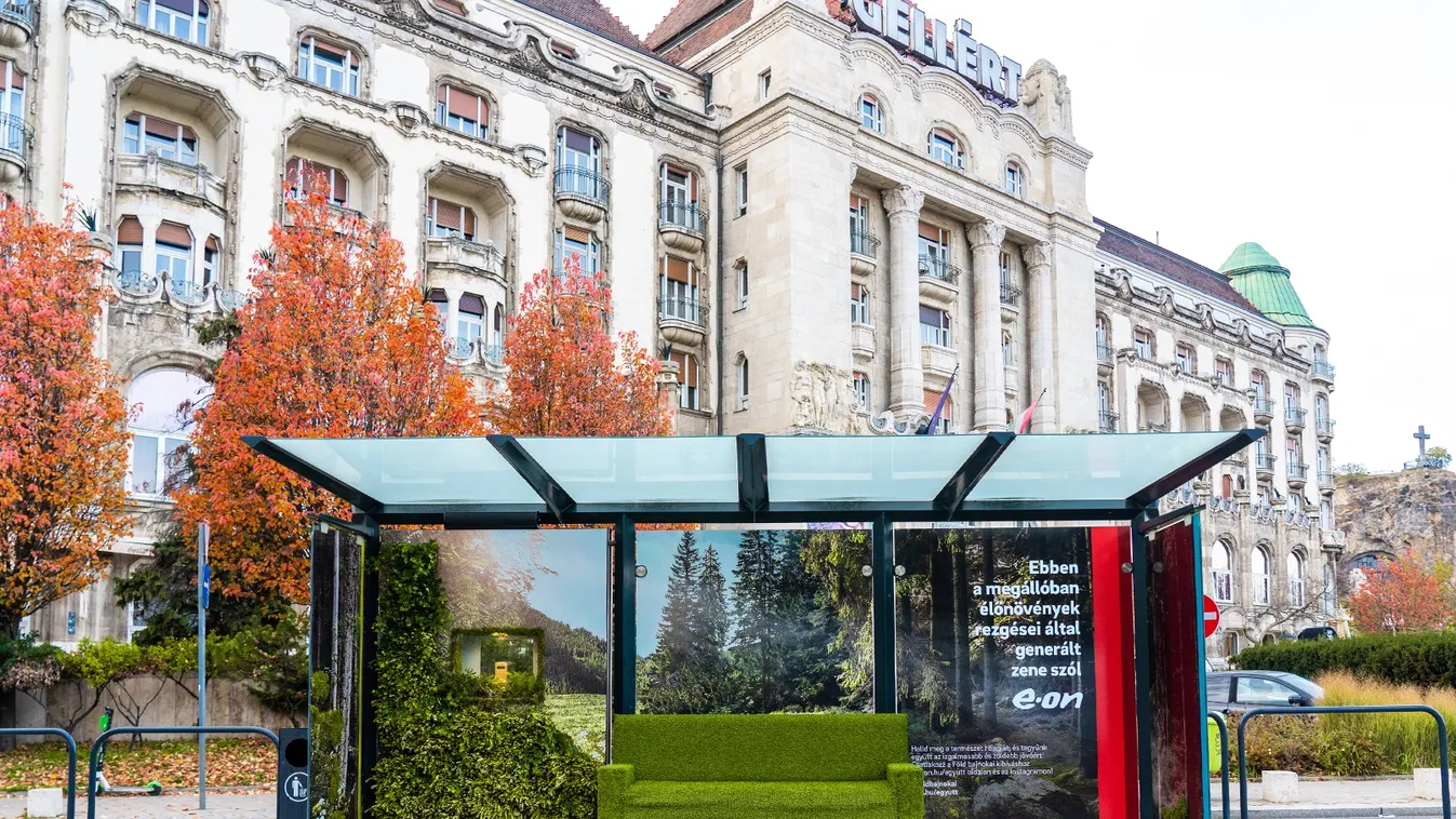 Élőnövények rezgései által keltett zene szól két budai villamosmegállóban