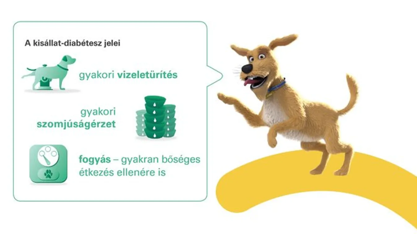 Kedvence is lehet cukros