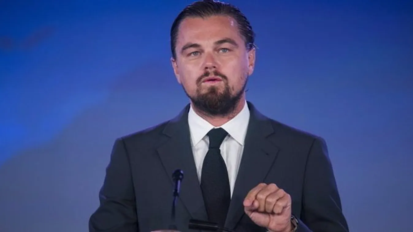 Segítséget kér Leonardo DiCaprio