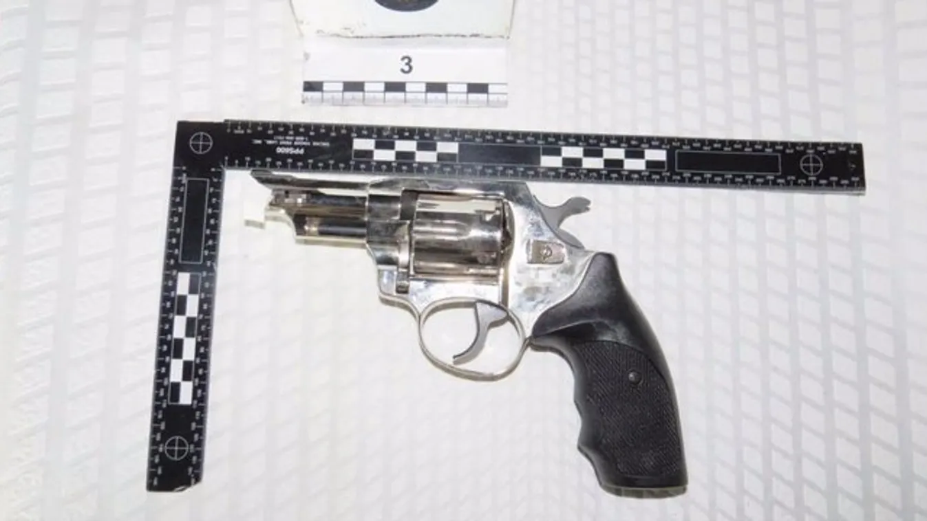 Elfogták a Salgótarjánban viperával ütő és gázpistollyal lövöldöző férfit – videó