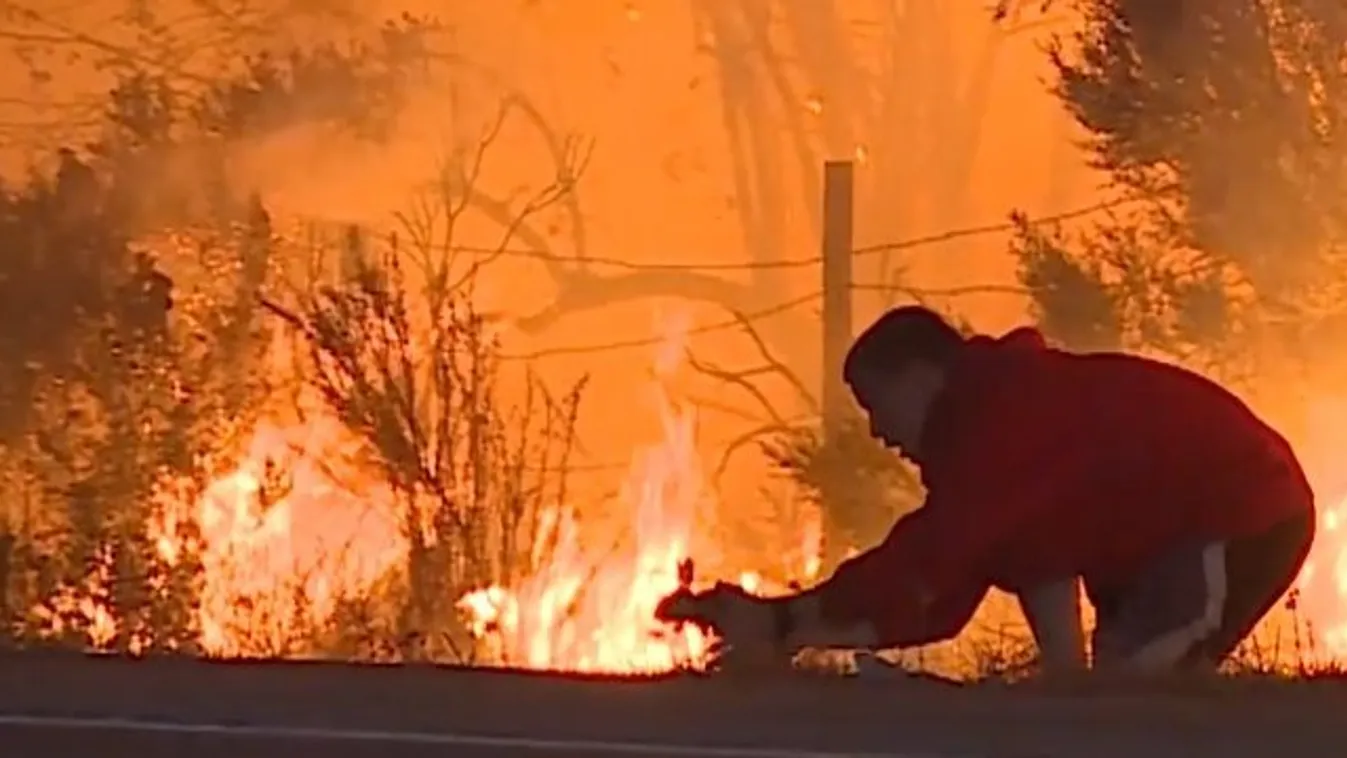 Erdőtűz és egy forgalmas út között vált igazi hőssé a férfi – videó