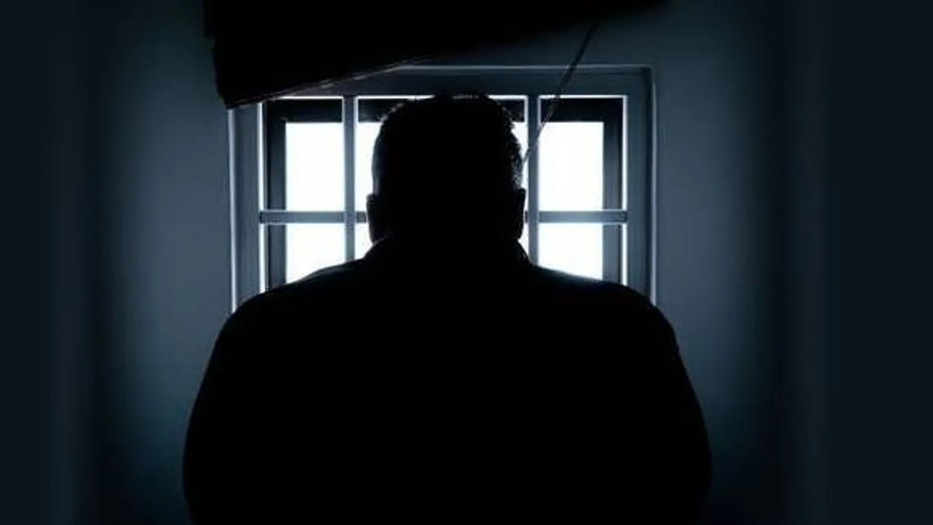 A gyomrunk is felfordul: halott unokatestvére magatehetetlen kislányát akarta megerőszakolni a győri pedofil