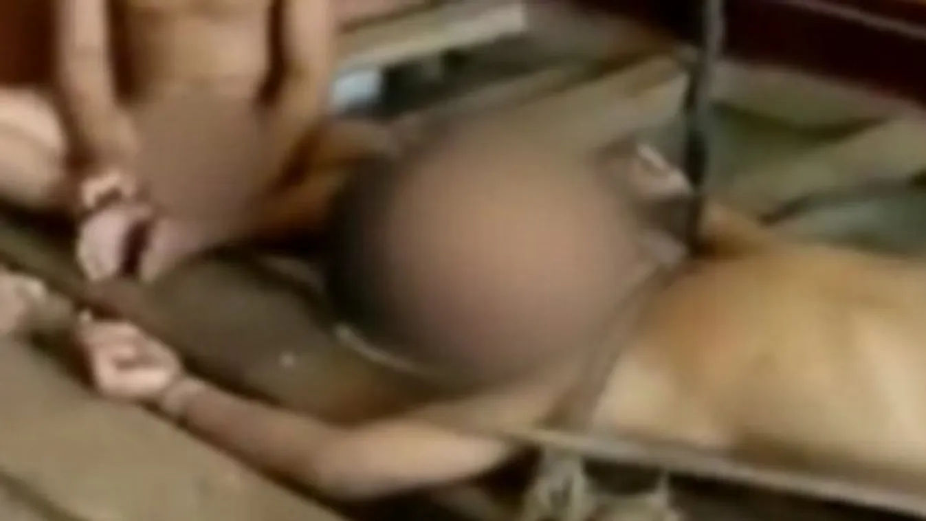 Ágykerethez kötötte a meztelen fiát, büntetésül segélyt kapott - videó a szabadulásról
