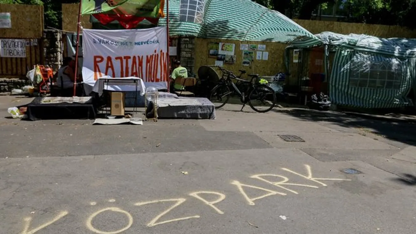 Magukra maradtak a ligetvédők