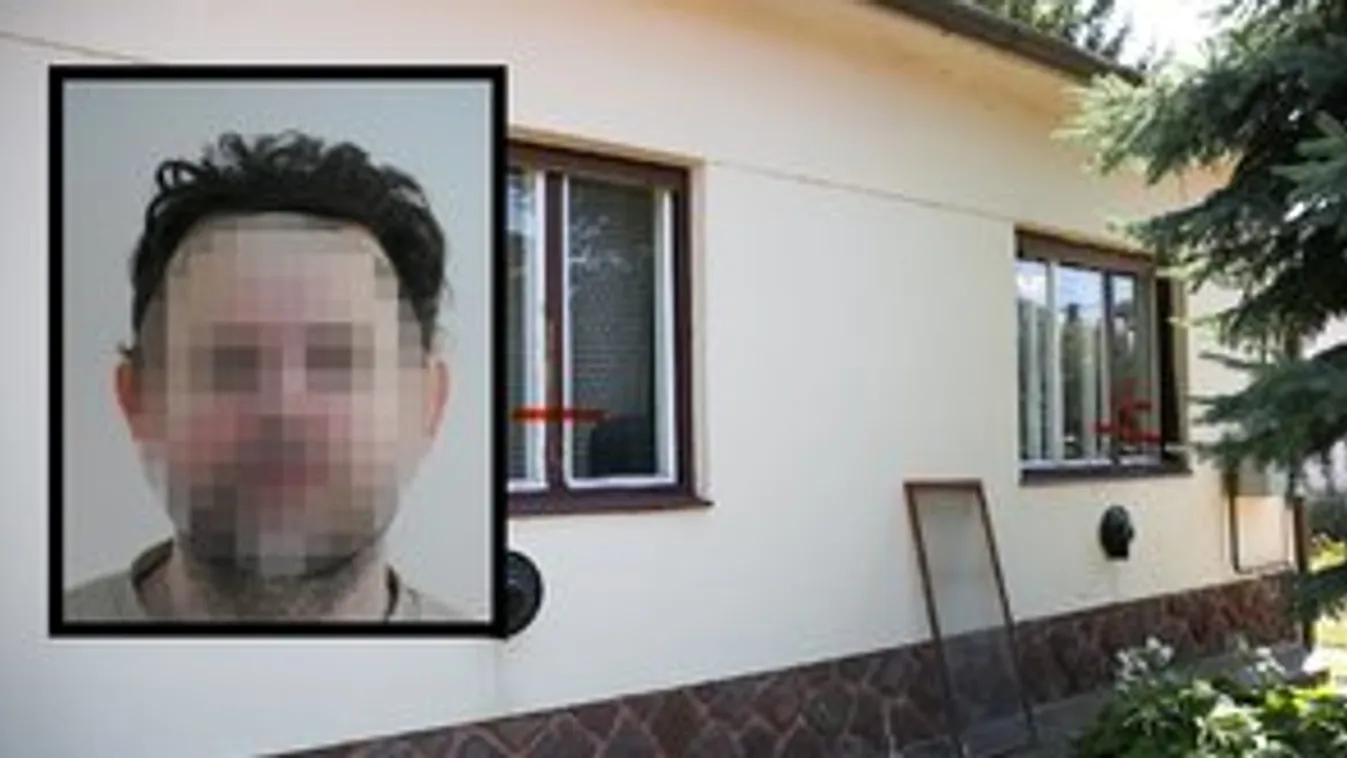Meztelenül fogták el a gyilkos nyelvtanárt – videó
