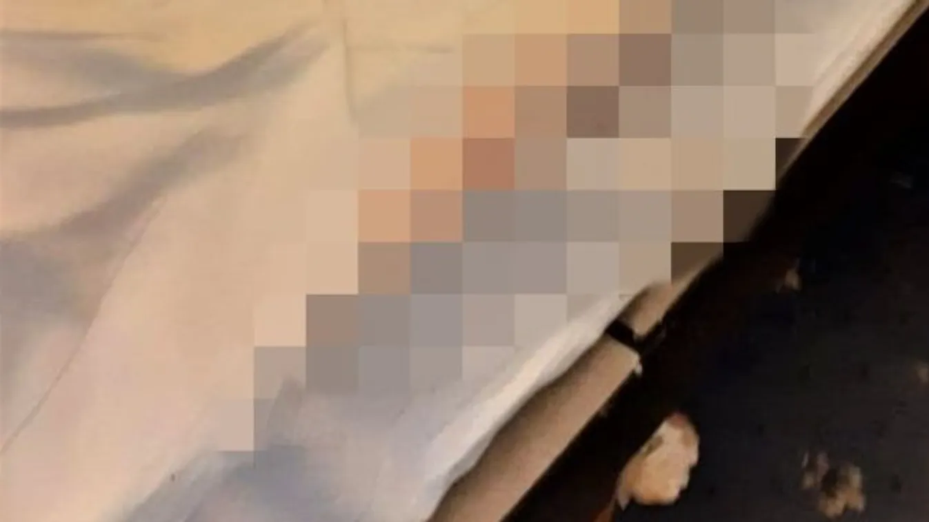 Felkavaró fotók: sokkot kapott a vendég, amikor benyitott hotelszobájába – 18+