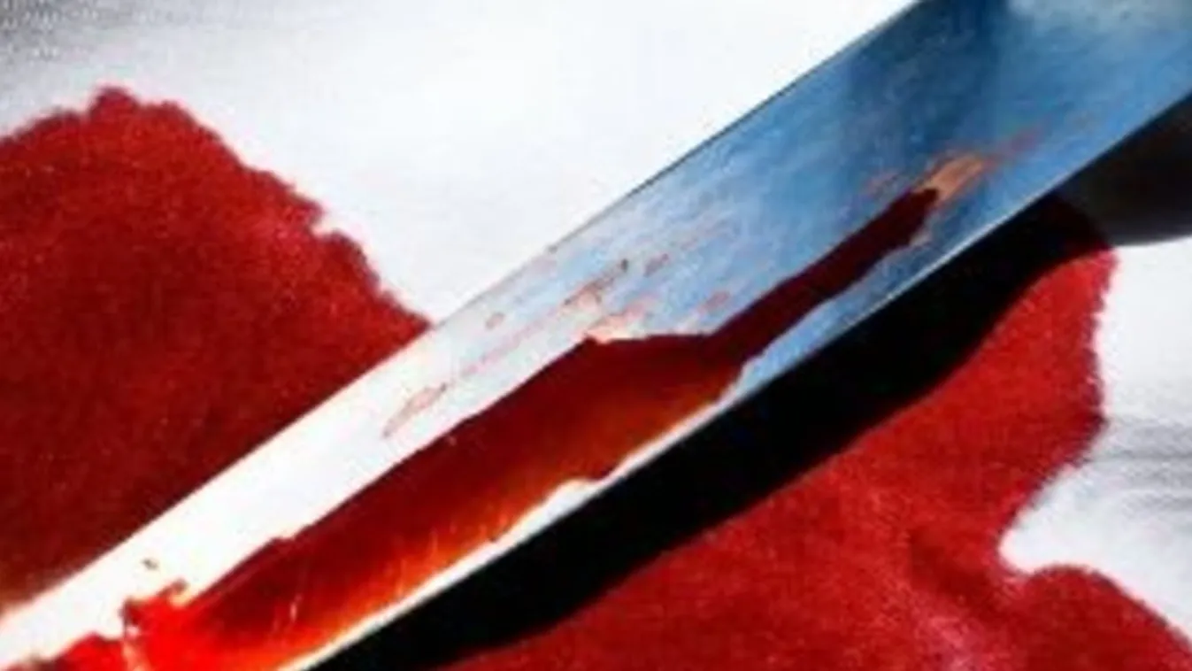 Életfogytig tartó börtönbüntetésre ítélték a tavalyi hamburgi késes támadás elkövetőjét