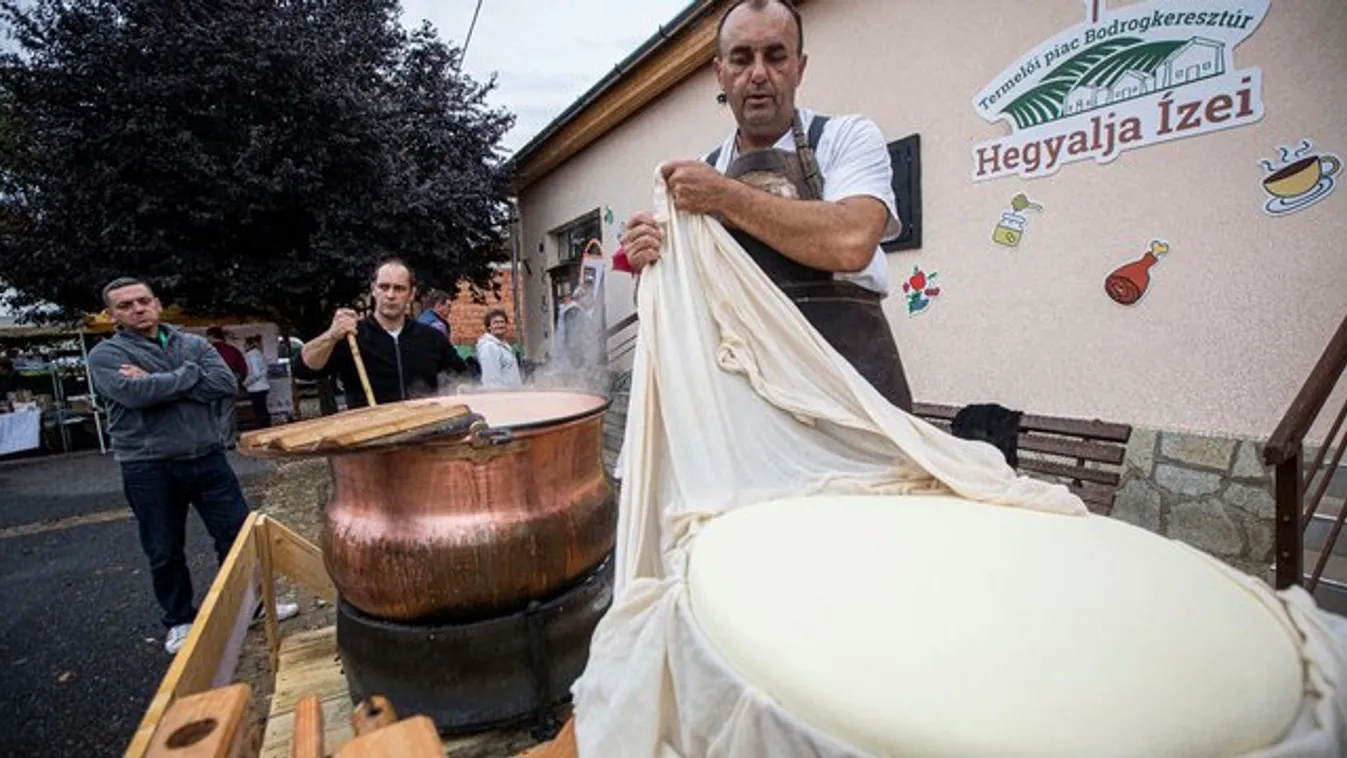 360 liter tejből készül az ország sajtja