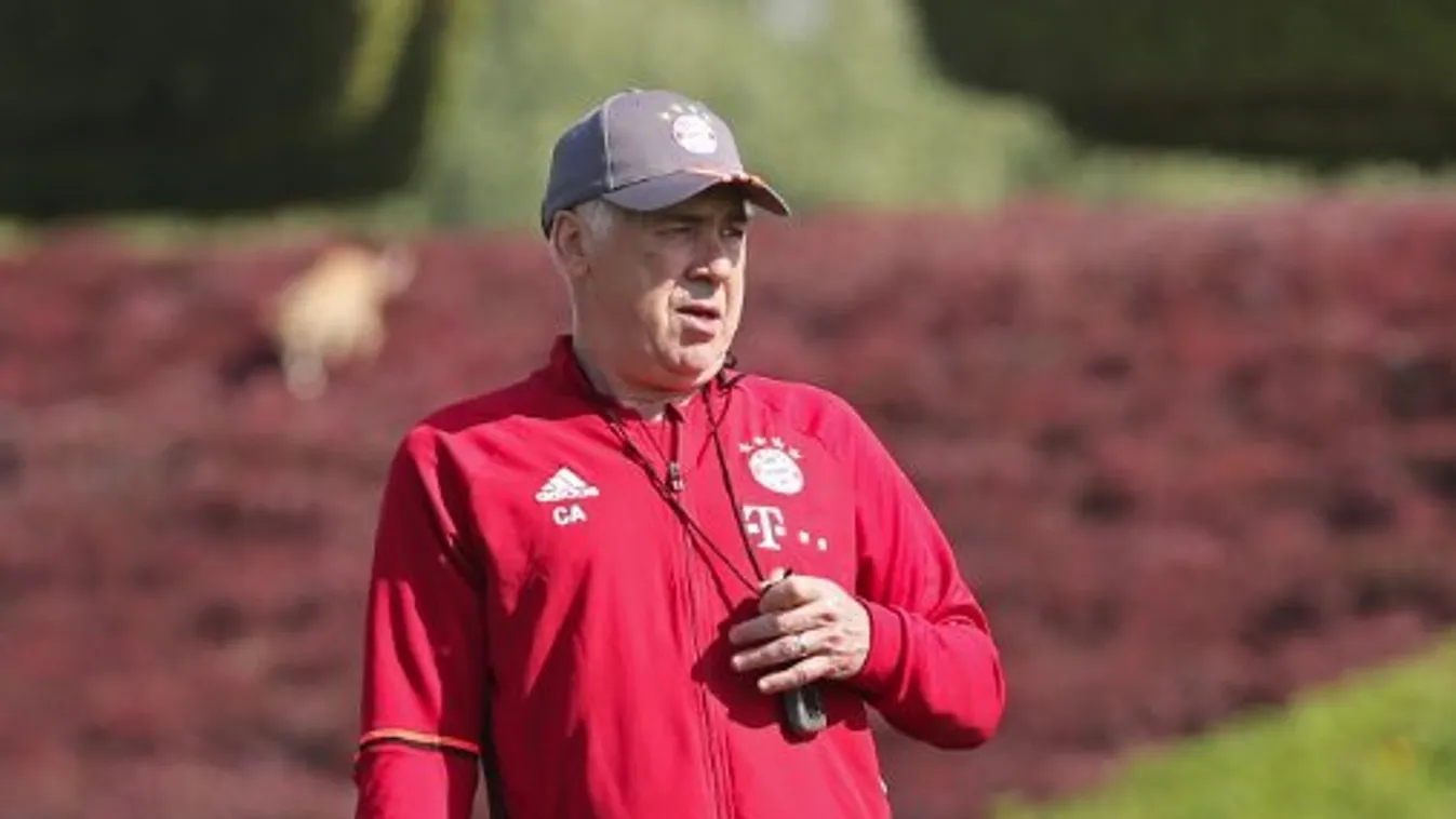 Carlo Ancelotti: Az élsport veszélyes az egészségre