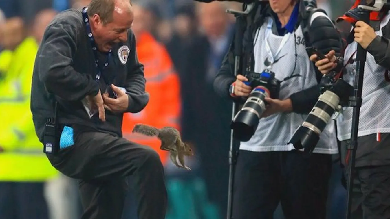Mókus okozott káoszt Manchesterben - videó
