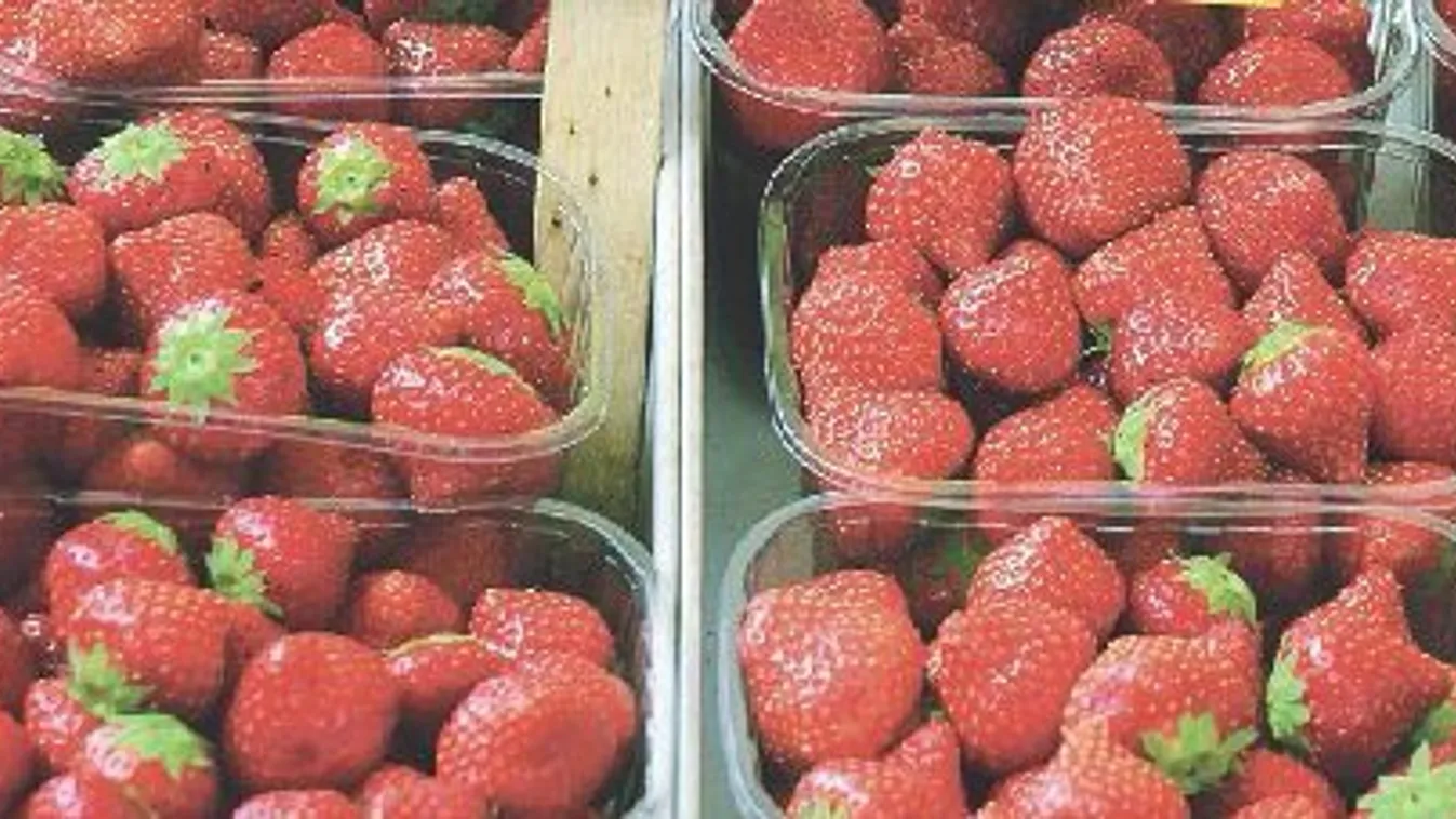 Szedd magad: 10 kiló fölött megéri a szüret