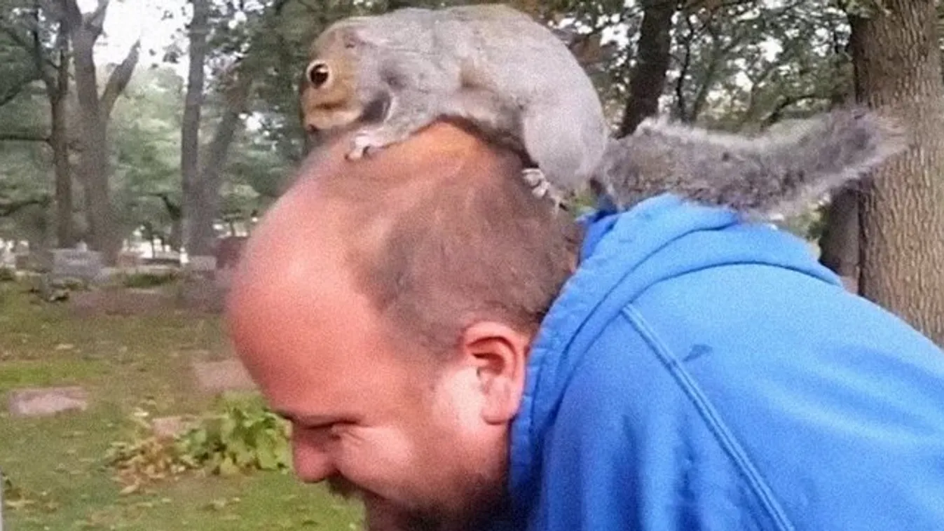 A mókusok tényleg ennyire genyók lennének? videó