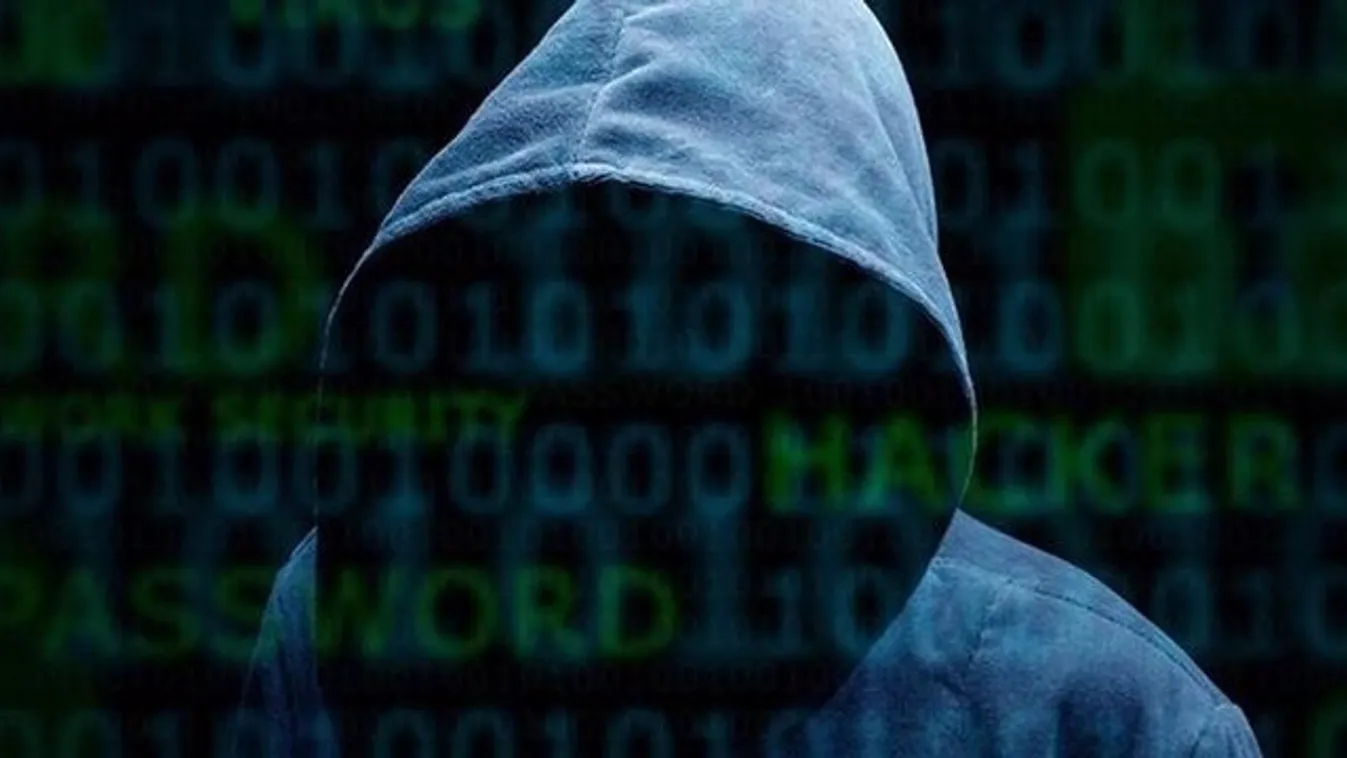 Feltörték a leghíresebb pornóoldalt, megjutalmazták őket érte