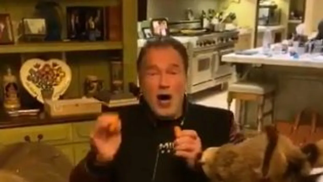 Schwarzenegger nem bír leállni a tökéletes kontenttal, a kiskutyája épp odakapott a szamarának, és az öreg ebből is le tudta vonni a tanulságot