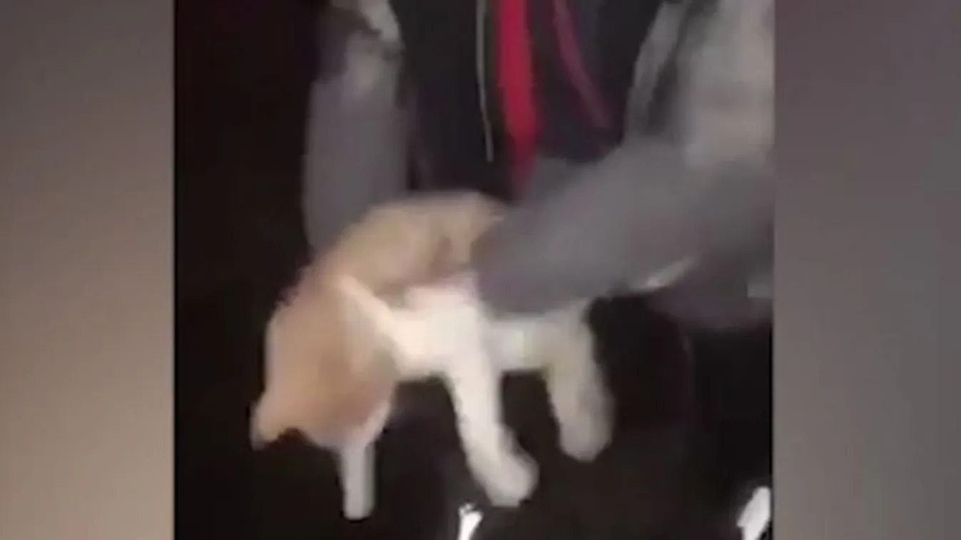Videóra vették szörnyű tettüket a drogos tinik