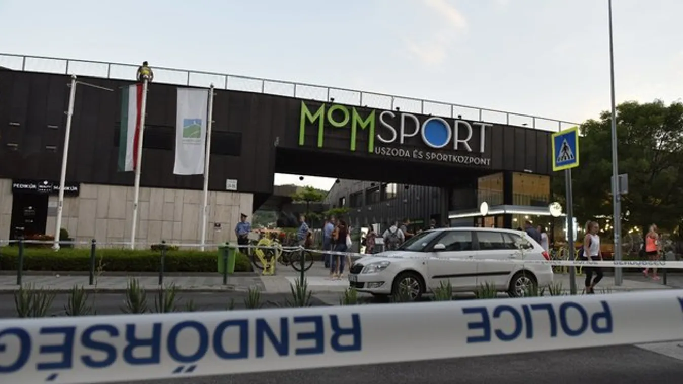 Tragédia a MOM Parkban – Bátyja még kijutott, Zselyke az égő házban lelte halálát