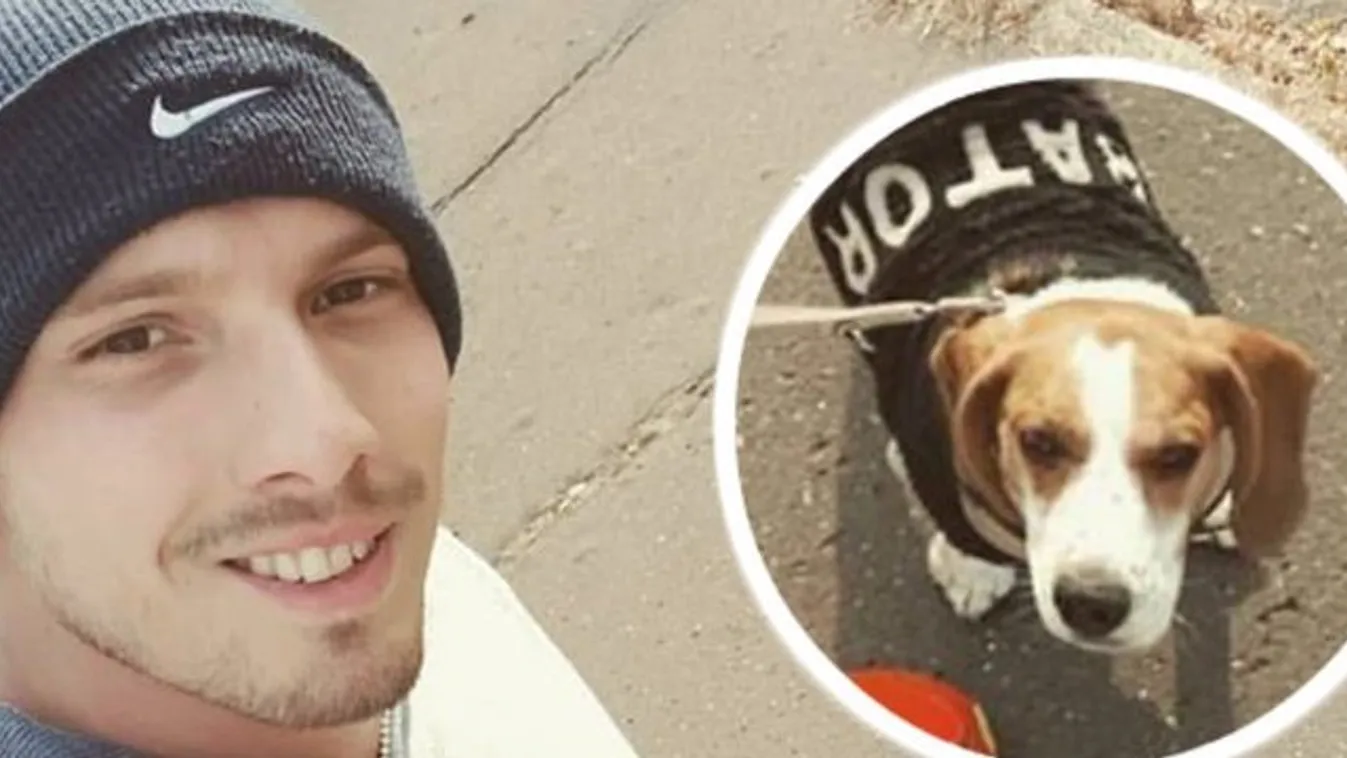 Kozma Dominik: Bátor a második szerelmem