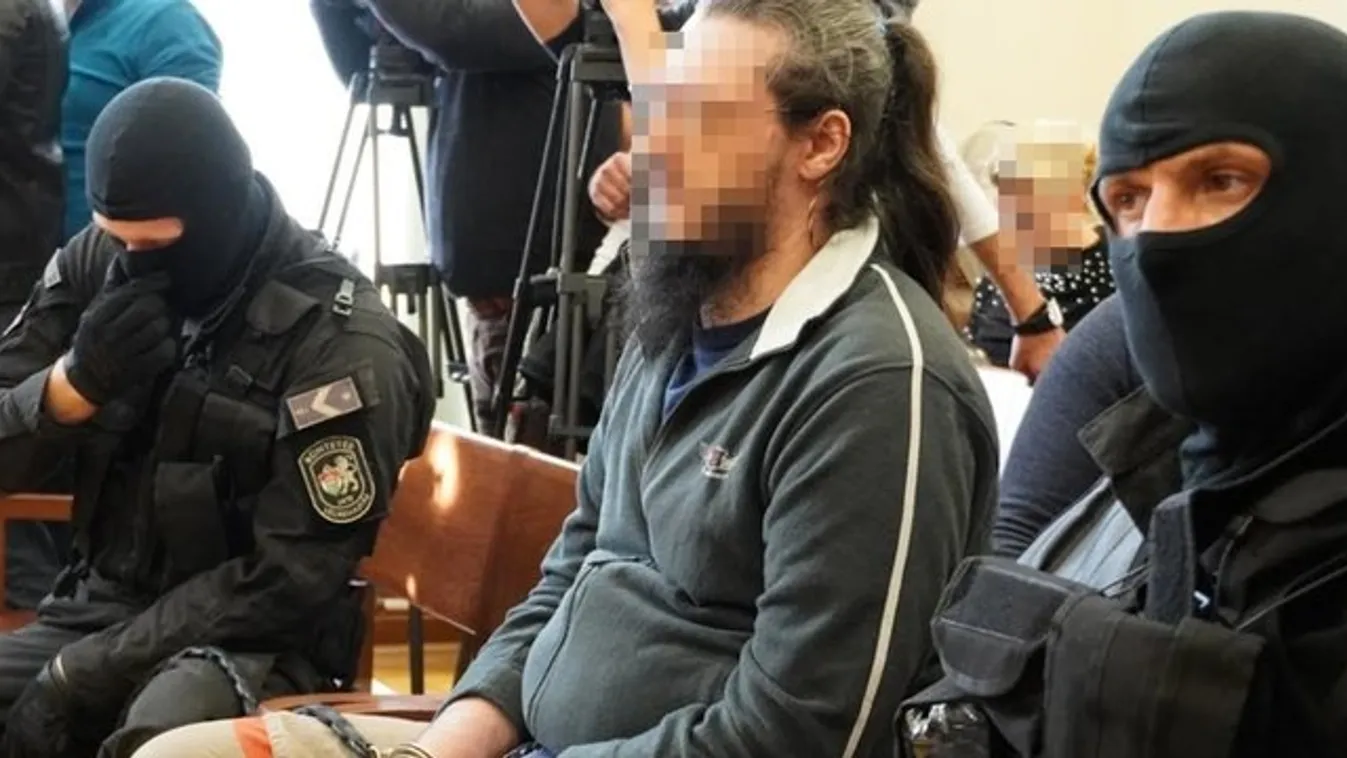 Megkezdődött a soroksári futónő meggyilkolásával vádolt férfi pere