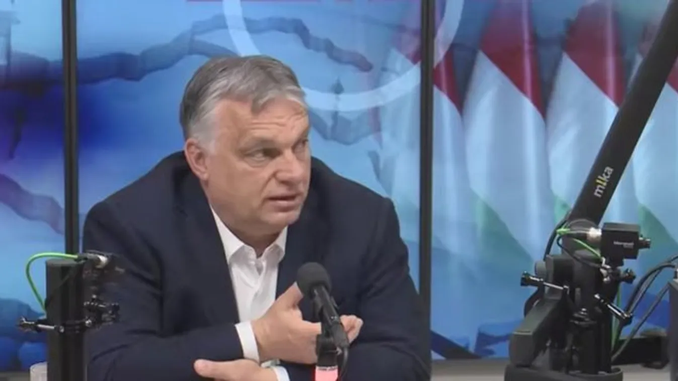 Orbán Viktor: Mindegy, hogy a macska fehér vagy fekete, csak fogja meg az egeret