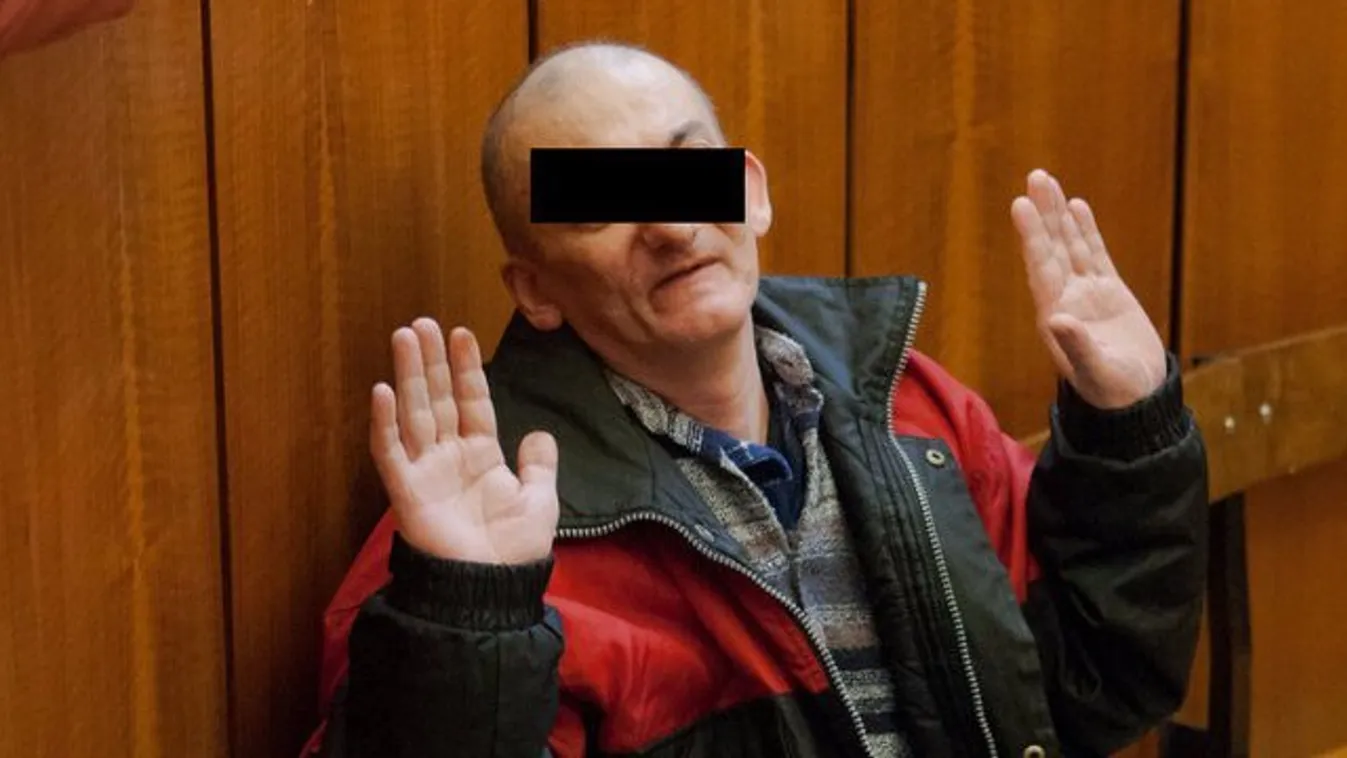 Szigetszentmiklósi horrorszülők: idegösszeomlást kapott a börtönben az apa