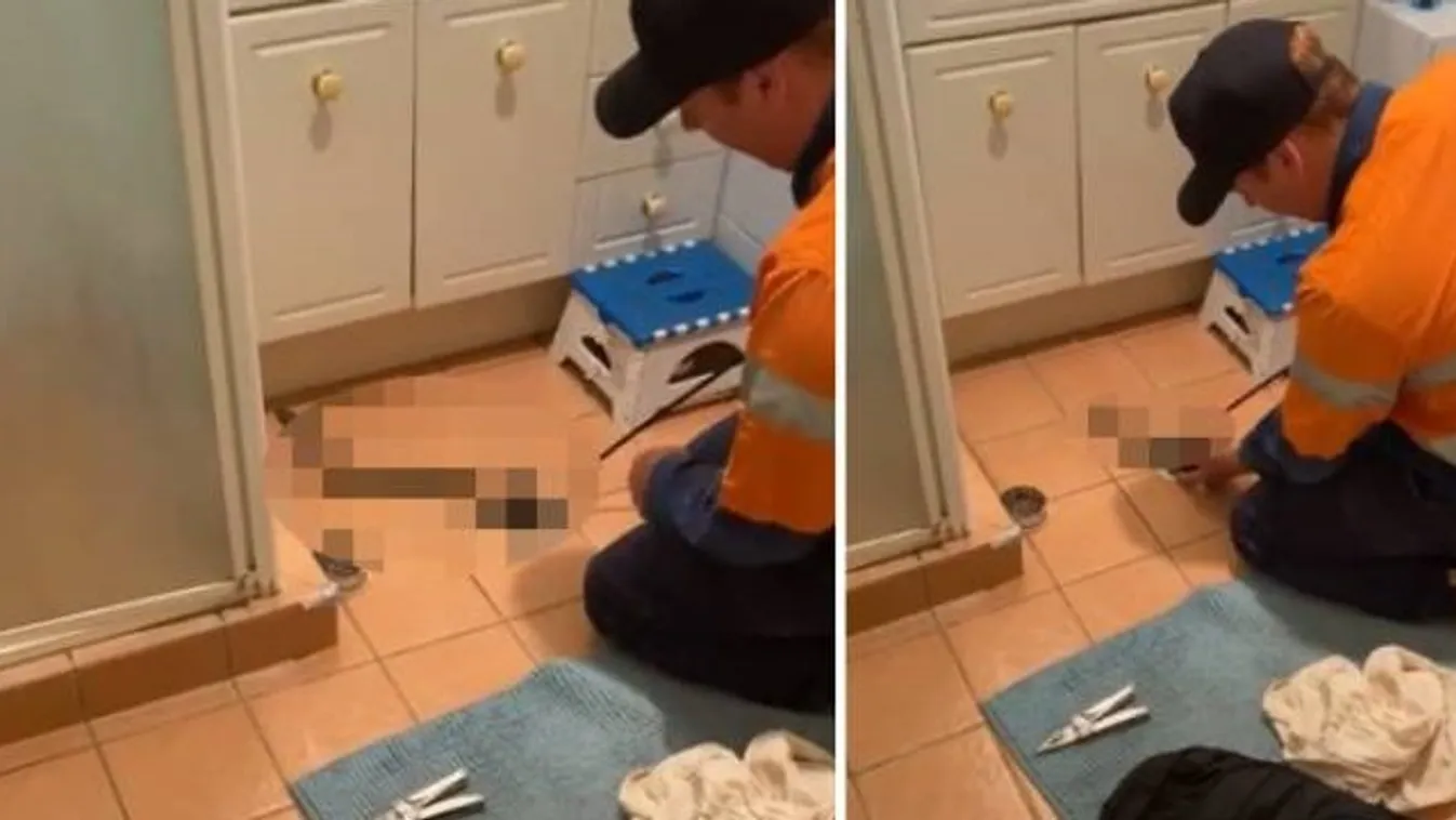 Napokig állt a víz a fürdőben – ne akarja megtudni, mi okozott dugulást – videó