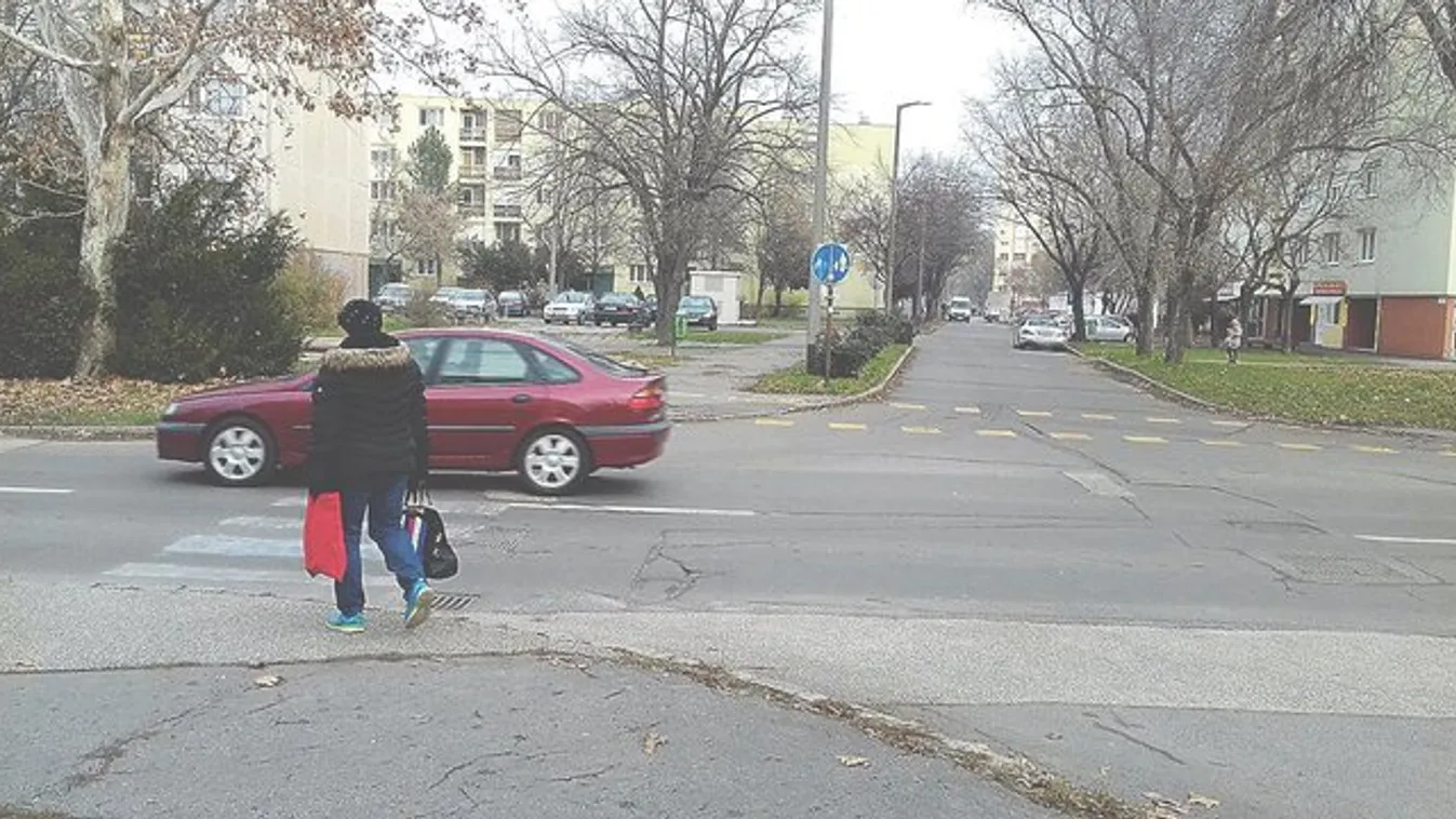 Kamuzebrán gyalogolnak a szegediek - nagyon veszélyes!
