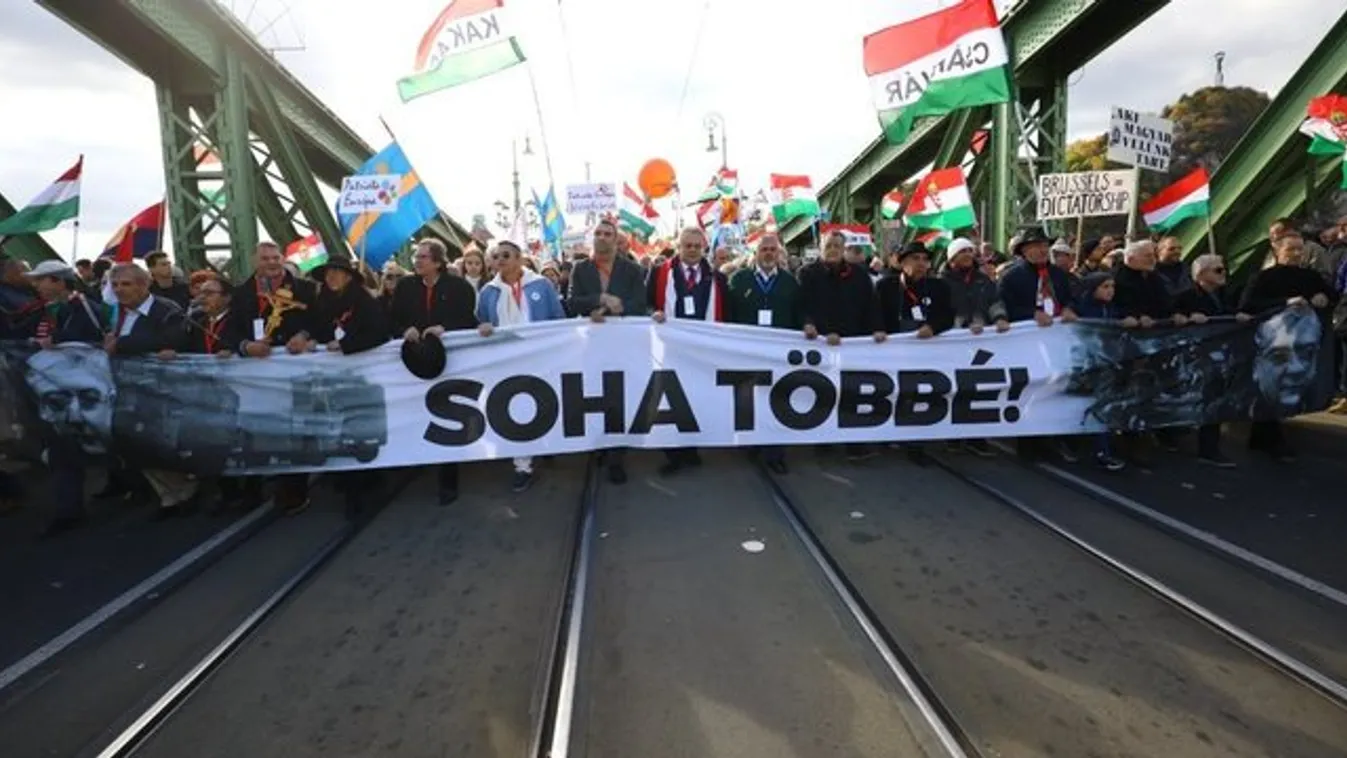 Orbán Viktor: Ez a mi erőnk, ez a mi hátországunk