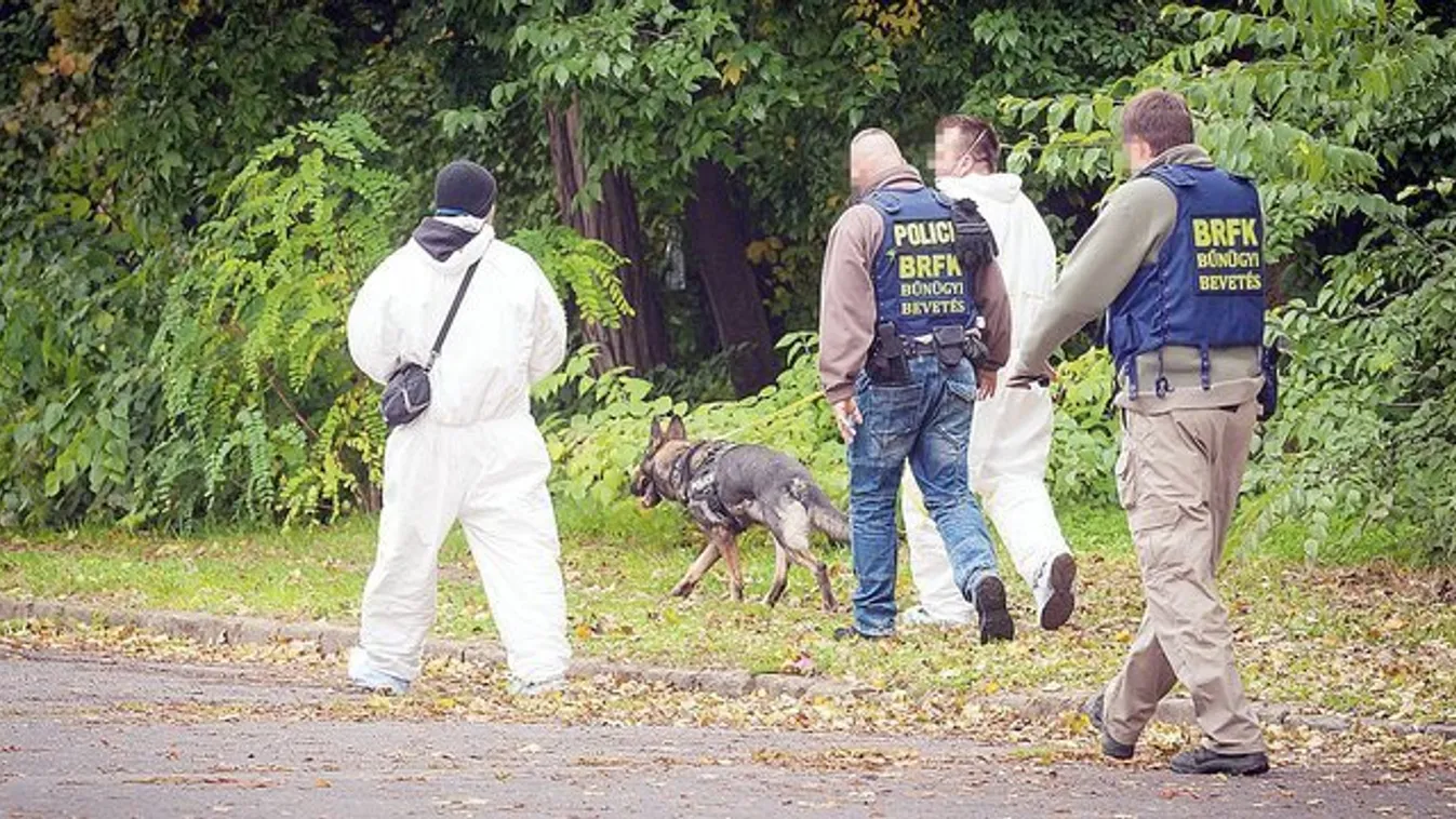 Elfogták a Népligetben talált, lemeztelenített nő gyilkosát