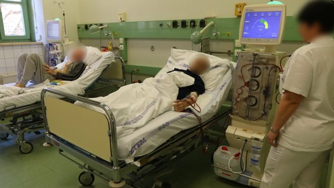 Német férfi veséjével akar rendőrként dolgozni János