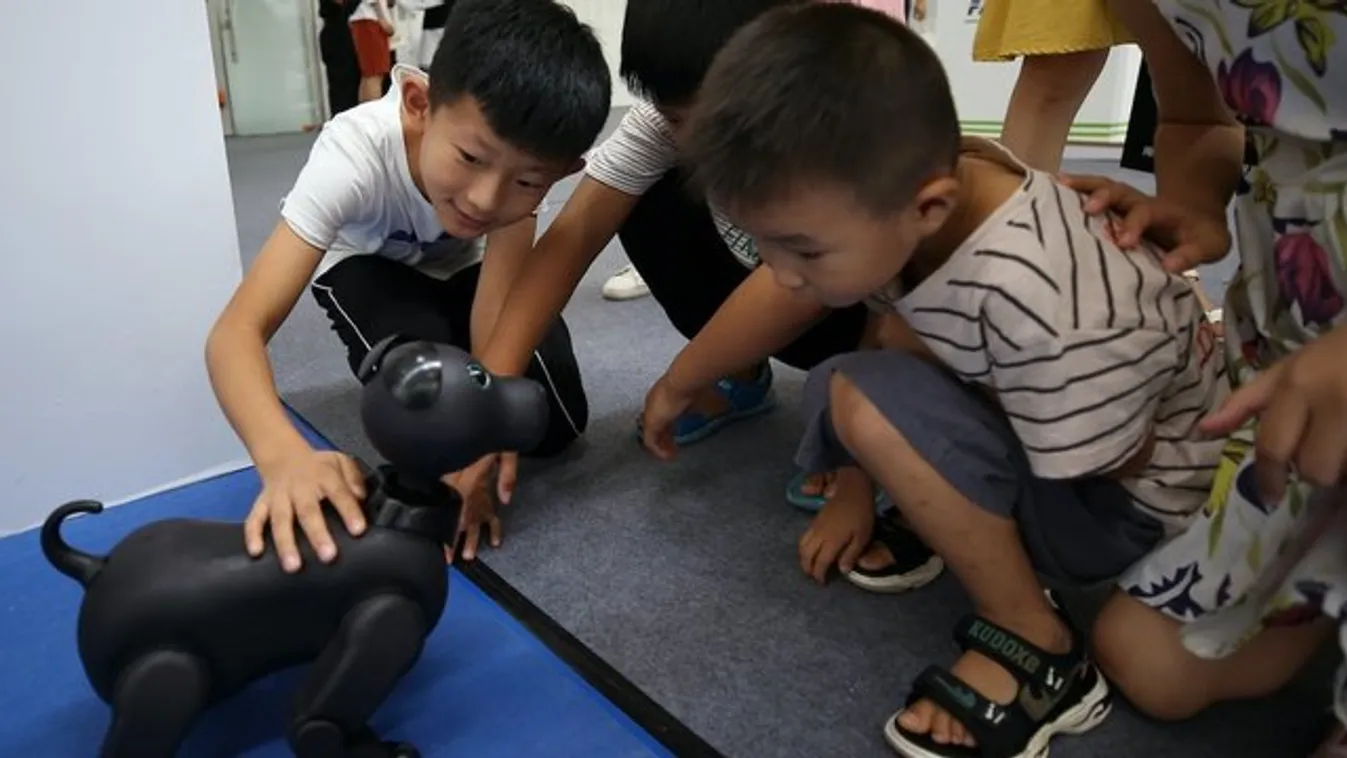 Itt a jövő - 3 órát sétál egy huzamban a kínai robot Lajka kutya