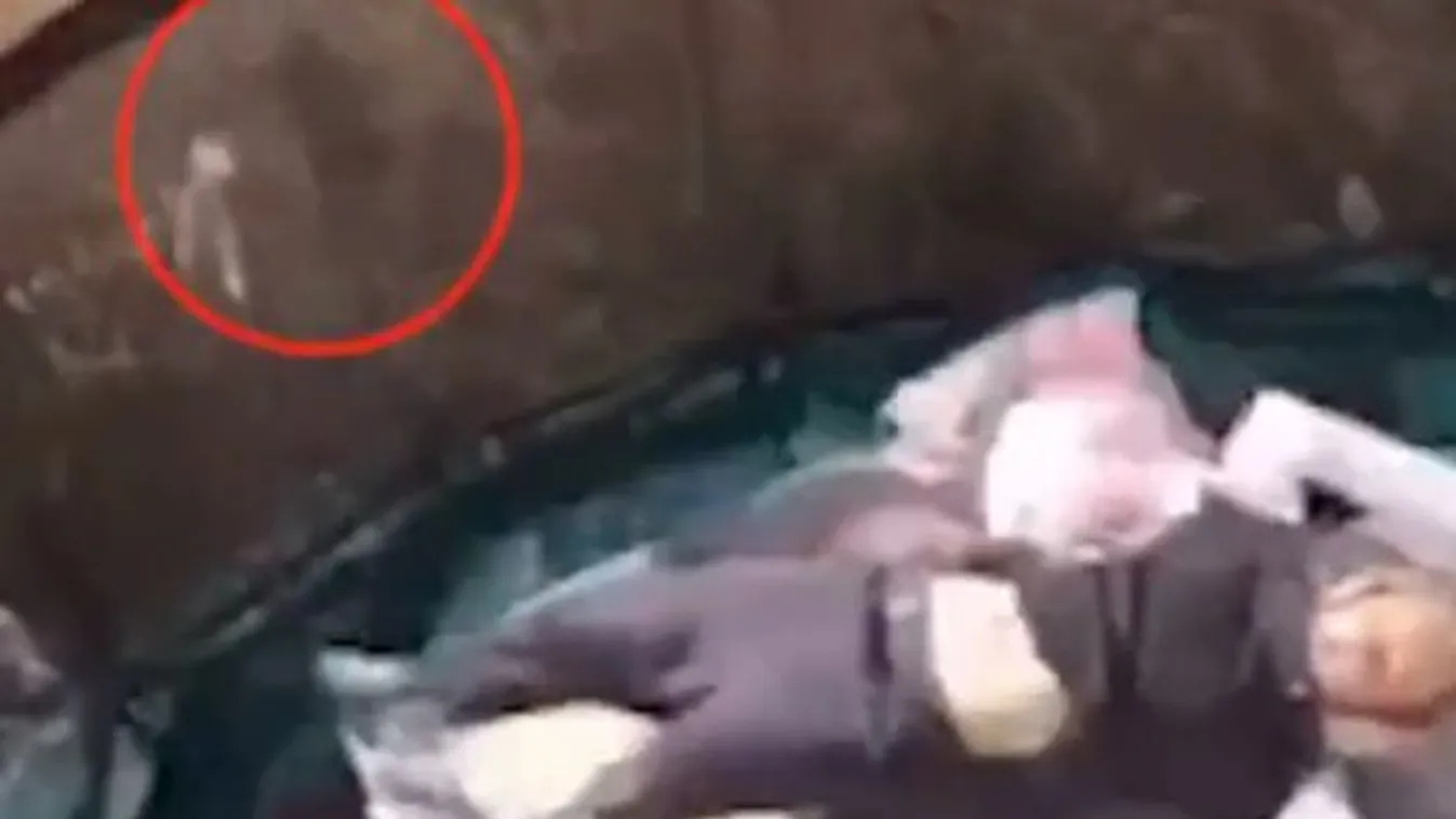 Vérfagyasztó felvétel: a valóságban egy trambulin alól bukkant fel egy horrorfilm szereplője