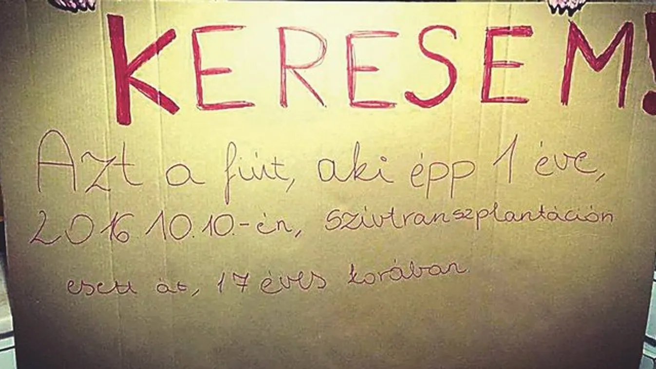Viktória: Keresem azt a fiút, akiben apám szíve dobog!