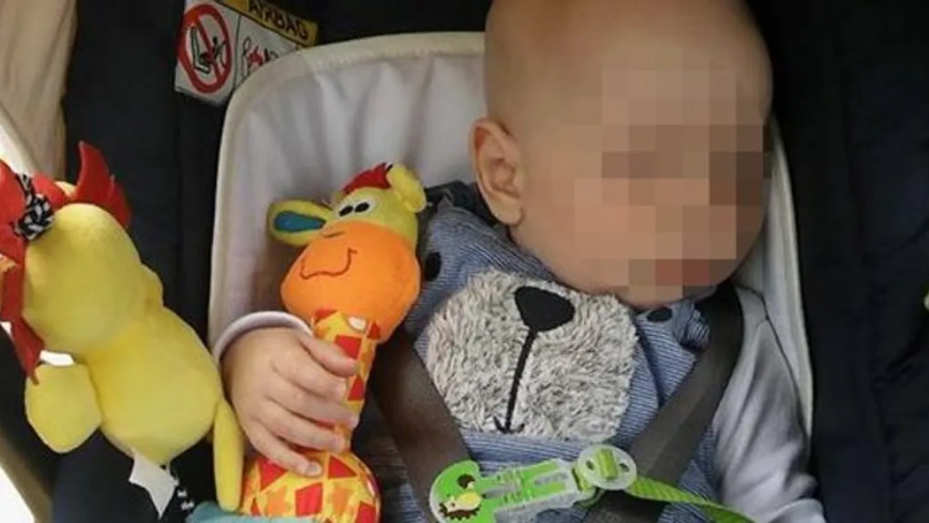 Ez meg mire volt jó? Ellopták egy kisbaba zsiráfját