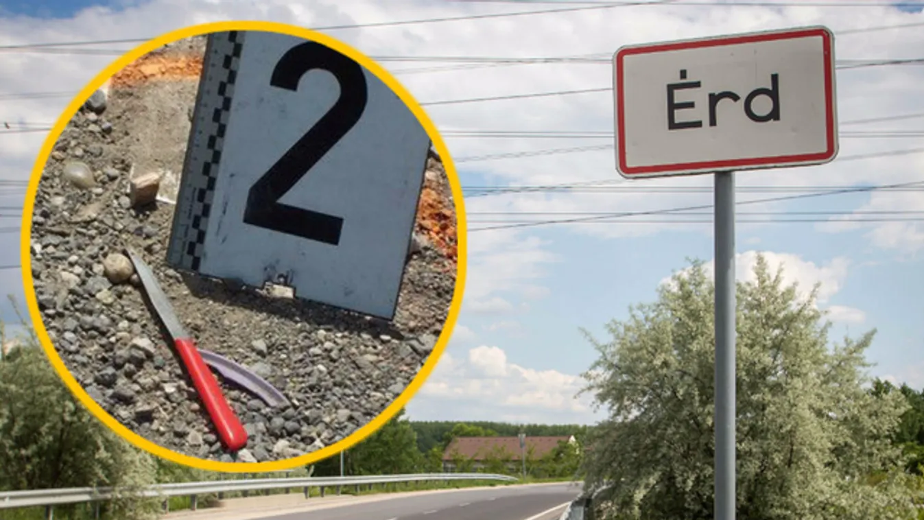 Fia késelte meg: egy centin múlt Piroska élete