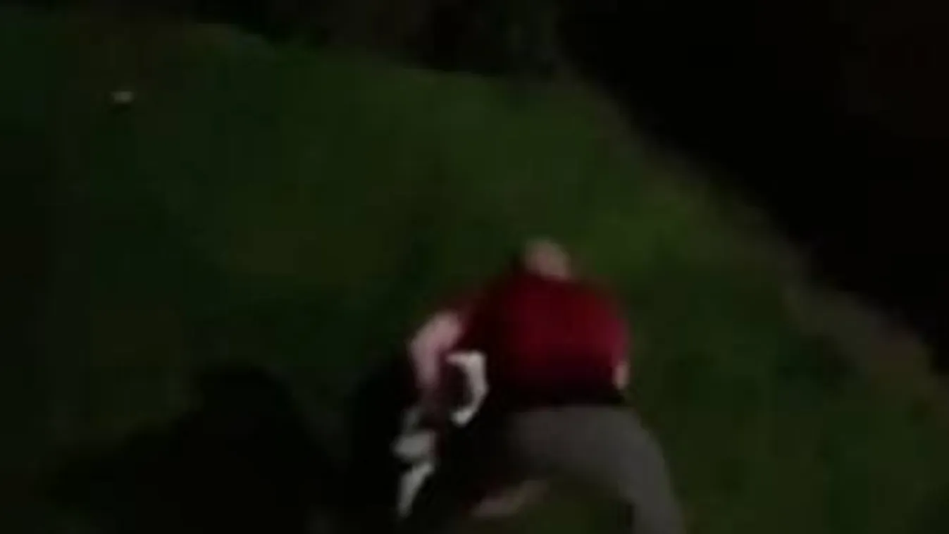 Nyüszítve menekült a kertbe a kölyökkutya: rendőri brutalitás áldozata lett a spániel - Sokkoló videó