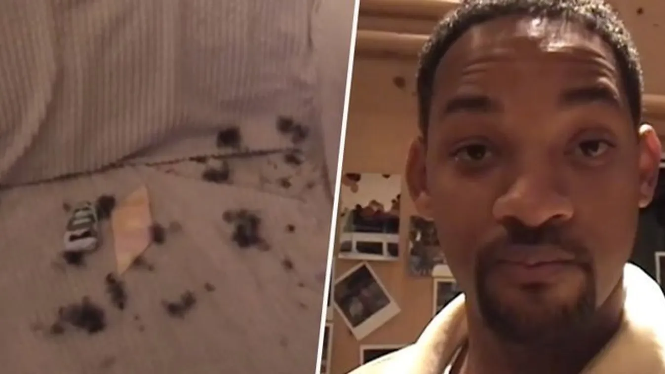 Will Smith csúnyán beégette fiát – videó