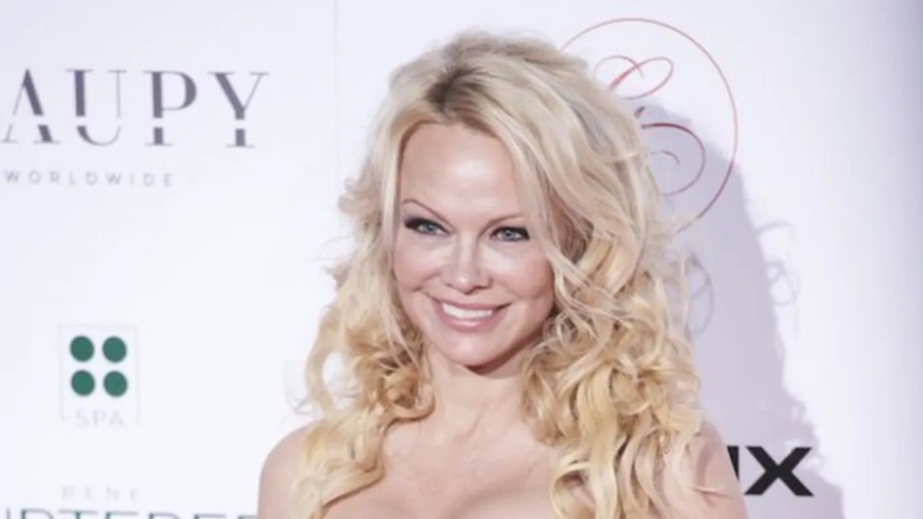 Pamela Anderson: Megmentett a Playboy