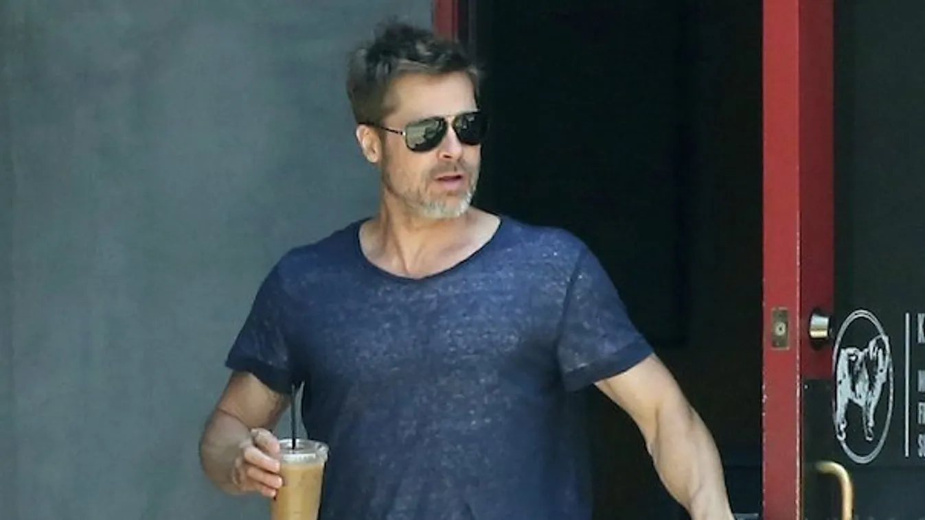 Megint nyúzott Brad Pitt feje - fotó
