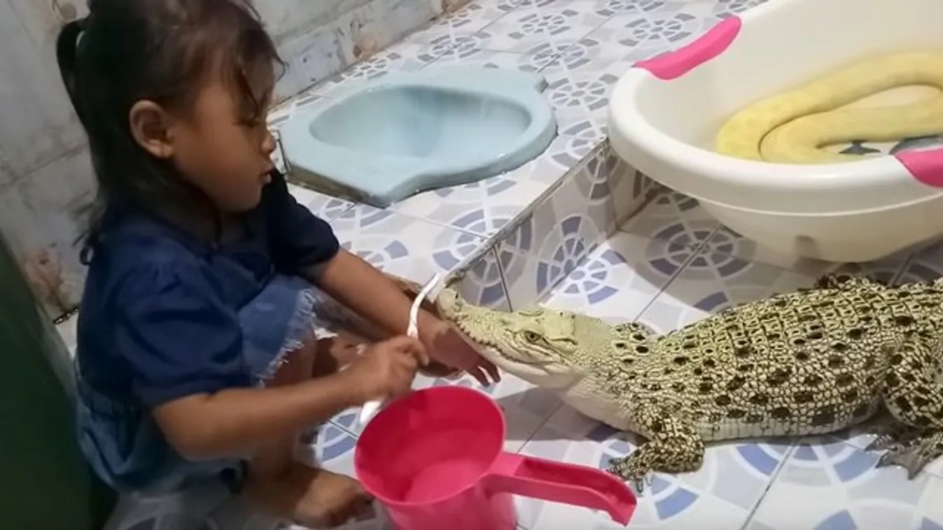 Lehet cukibb egy bébikrokodil fogát mosó kislánynál? Ugye, hogy nem! videó