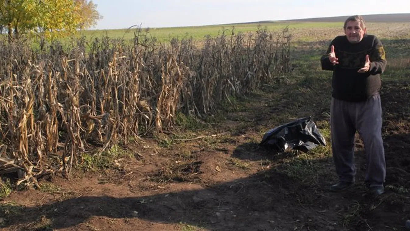 Elaltatása előtt ellopták a gyilkos harci kutyát