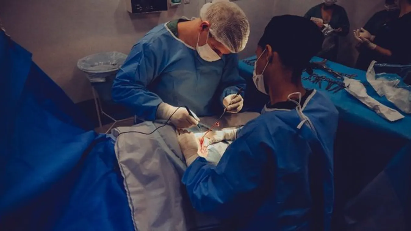 Dr. Rényi-Vámos Ferenc: Nem kizárt, hogy egy koronavírusban károsodott tüdőt is ki lehet cserélni