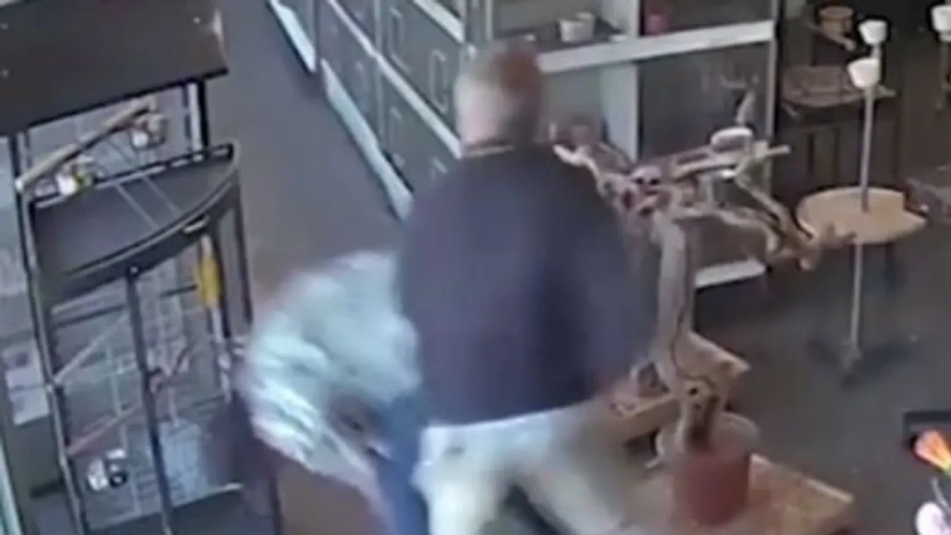Madarat akart lopni egy férfi, de csúnya vége lett – videó